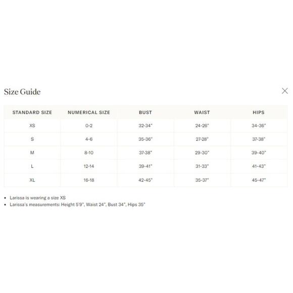 RO'S GARDEN Blue Jacinta Deauville Dress Size XL NWT Retail $195 Tuckernuck - Picture 3 of 7